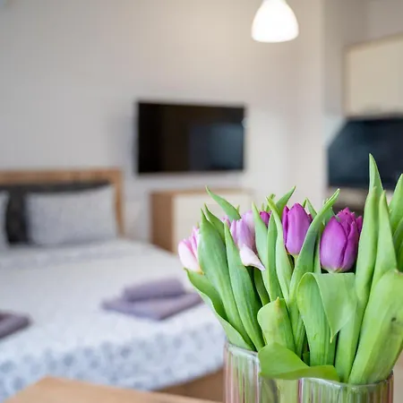 Wow For Rent 2 Bul Montevideo 25a - B Apartment Sofia